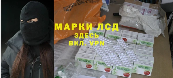 индика Гусь-Хрустальный