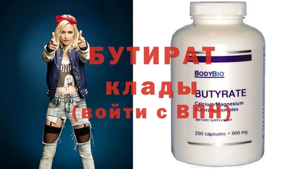 индика Гусь-Хрустальный
