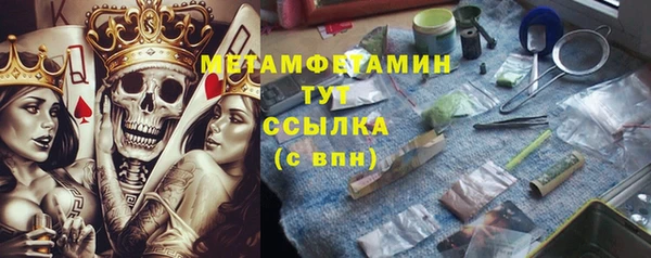 индика Гусь-Хрустальный