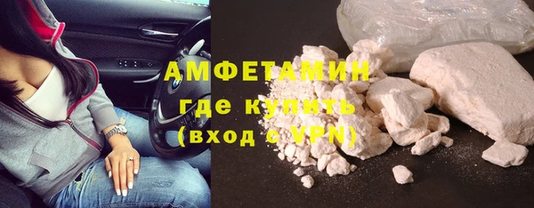 индика Гусь-Хрустальный