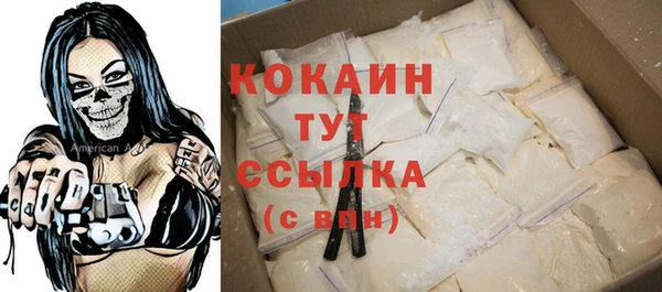 крисы Гусев