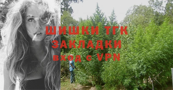 индика Гусь-Хрустальный