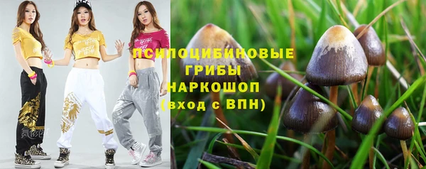 дмт Гусиноозёрск