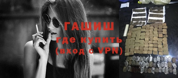 индика Гусь-Хрустальный