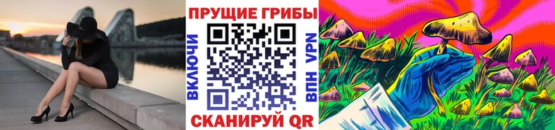 Галлюциногенные грибы Psilocybe  Купить закладки  Асбест 